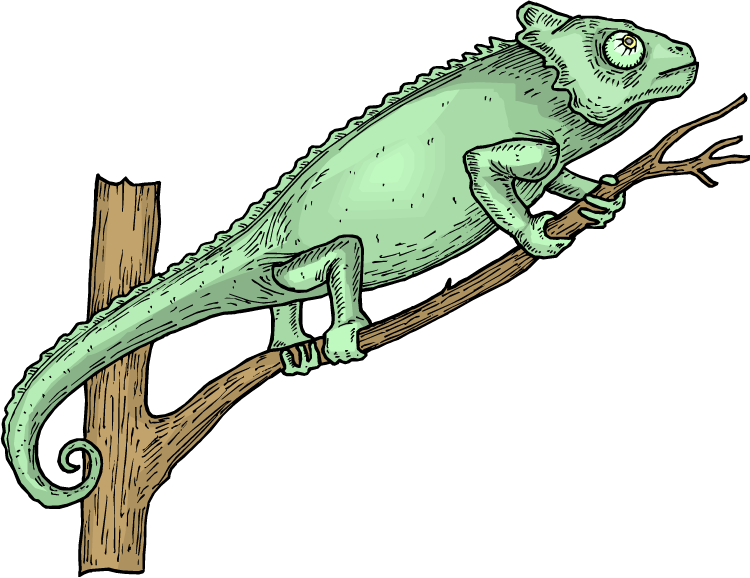 Horned Lizard Png Picture - Insectivores (750x578), Png Download