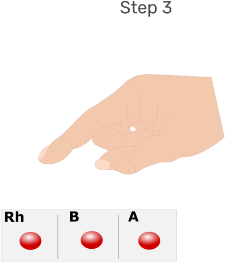 Animation Of Large Drops Of Blood Being Placed In Each - Blood (666x550), Png Download