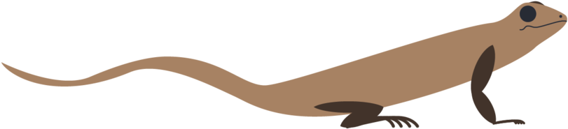 Lizard (1000x582), Png Download