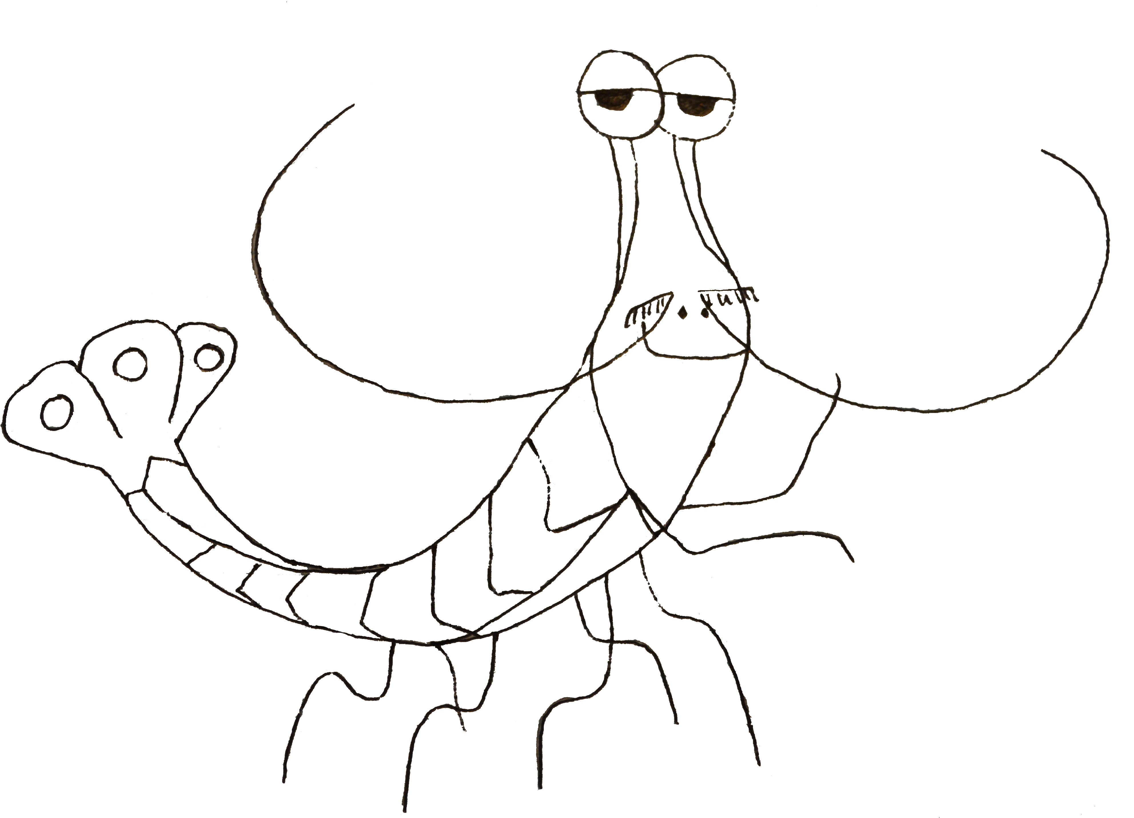 Drawn Fishing Nemo - Line Art (4000x2874), Png Download