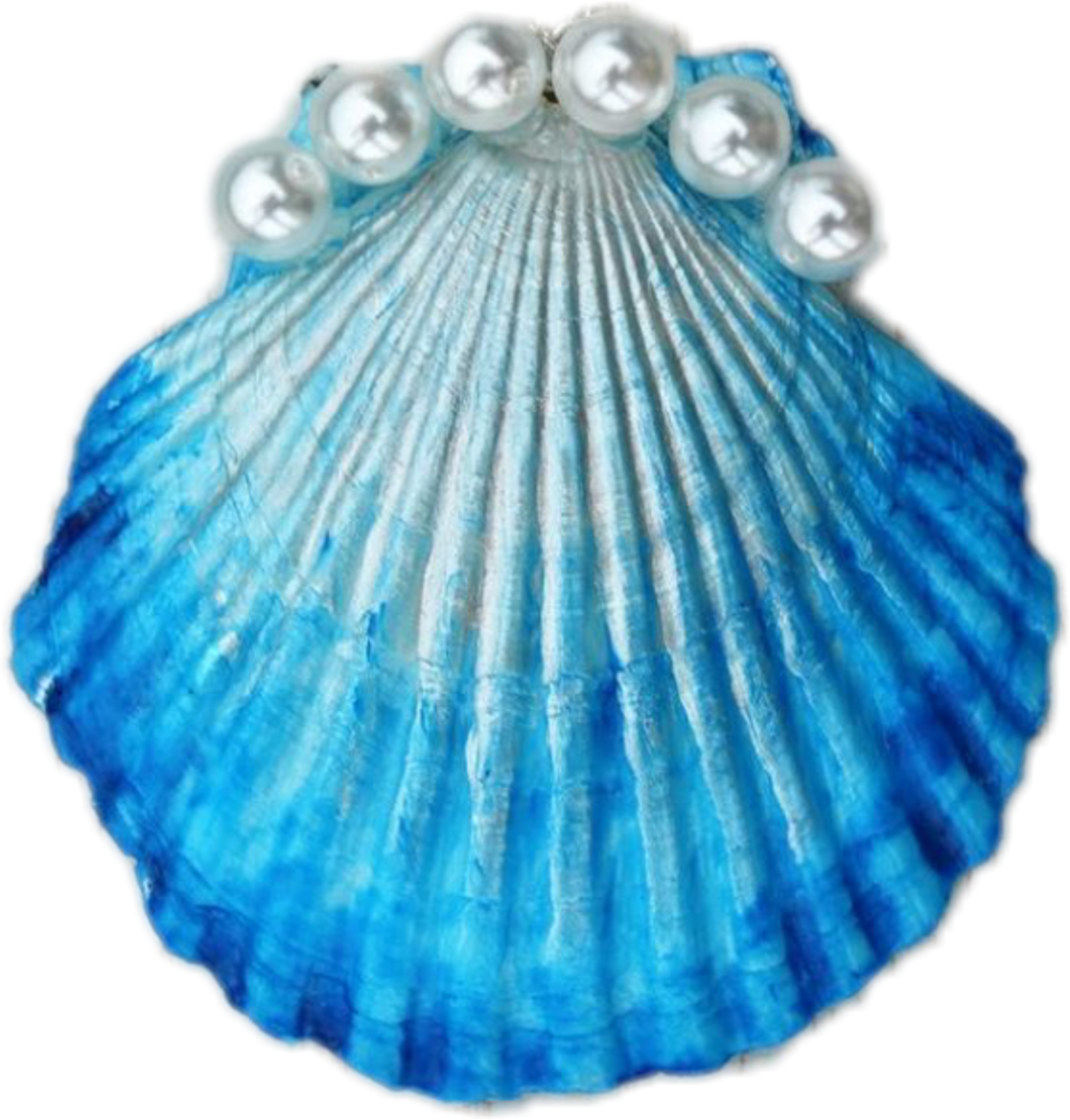 #shell #pretty #cute #cuteness #freetoedit - Muschel Kette Selber Machen (1024x1072), Png Download