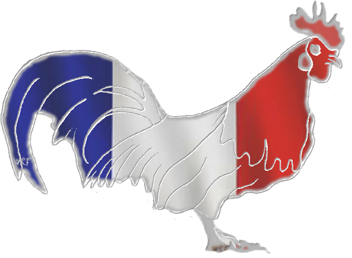 France-gallic Rooster Photo Francegallicrooster - Rooster (750x560), Png Download