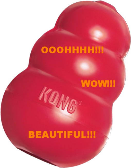 The Kong Company Has Not Paid Me For This Glowing Recommendation - Plastic (700x700), Png Download