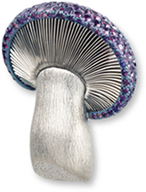 Russula Integra (800x800), Png Download