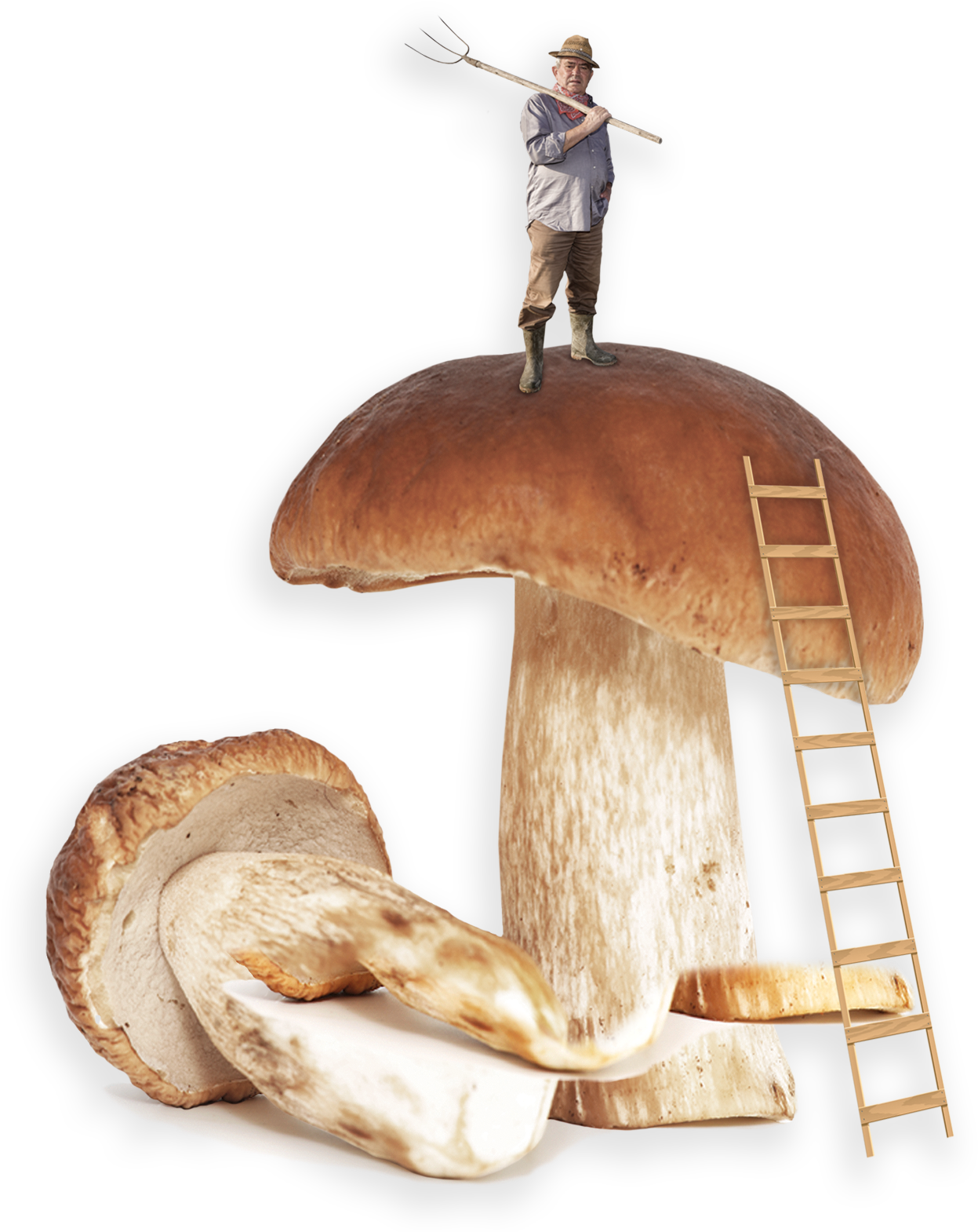 Melba Toast With Pâté - Shiitake (1610x1610), Png Download