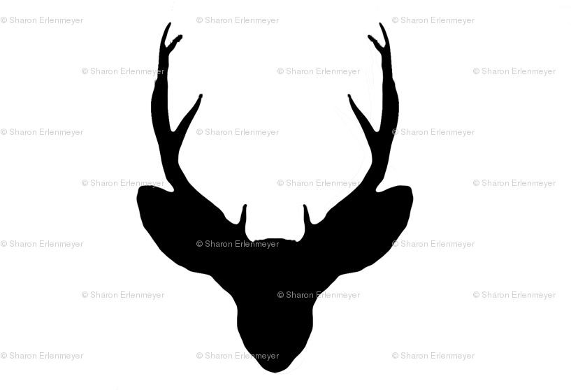 Deer (846x564), Png Download