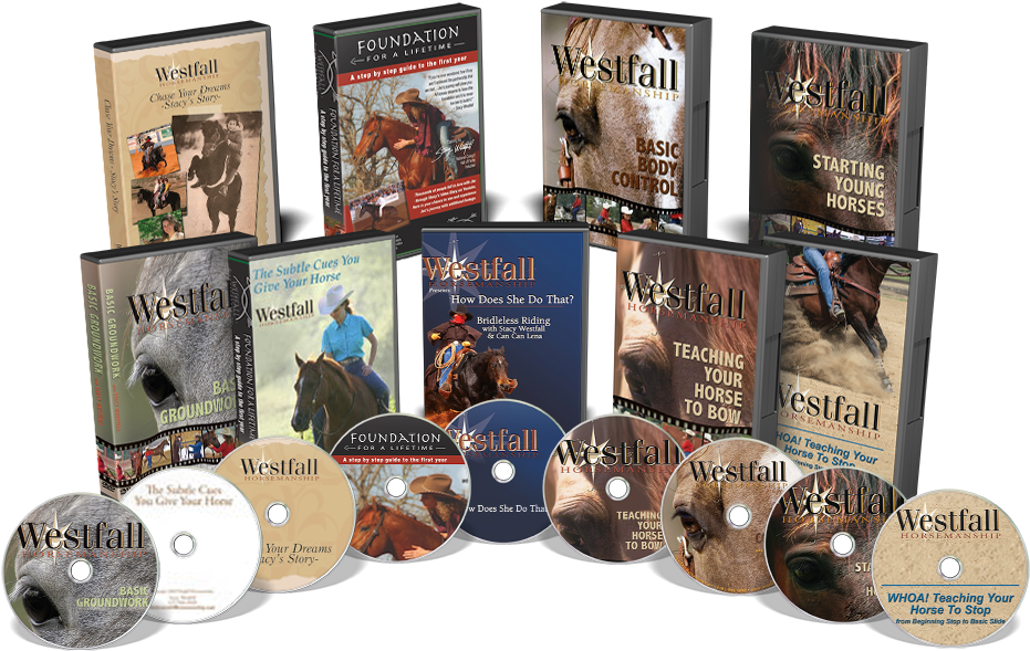 Img Shop-dvd - Cd (960x640), Png Download