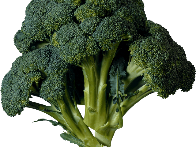 Kale Clipart Transparent - Vegetables Grown In Spring Season (640x480), Png Download