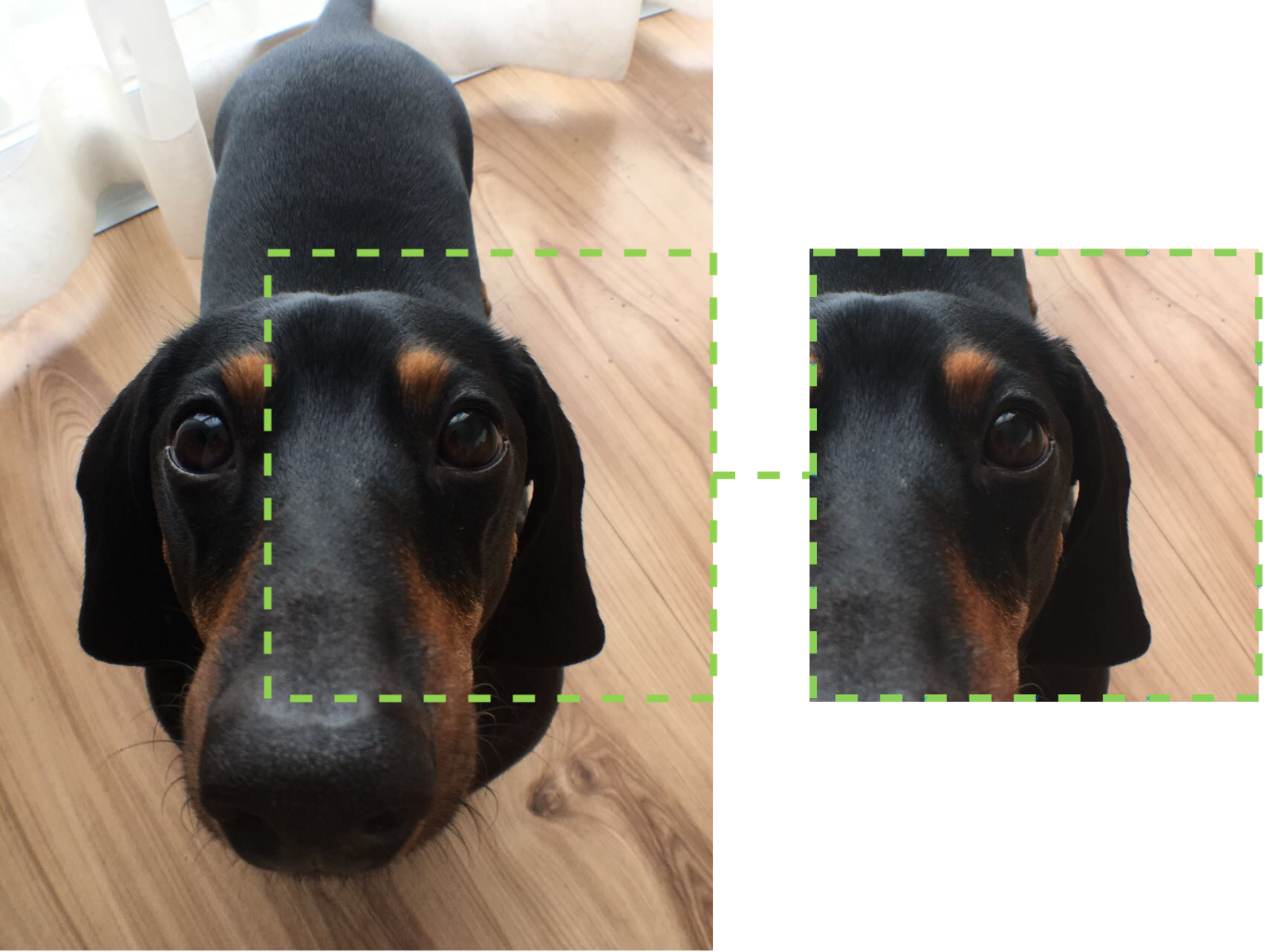 1592px Gst Ptzr Bart - Dachshund (1592x1199), Png Download
