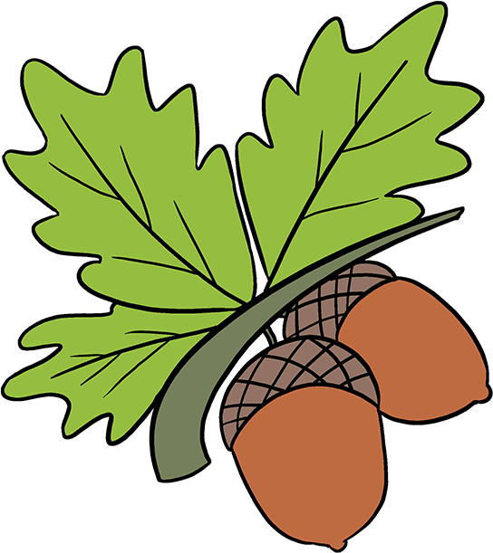 How To Draw Acorns - Draw An Acorn (680x678), Png Download