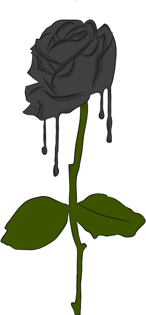 #rose #black #blackrose #green - Illustration (1024x1325), Png Download