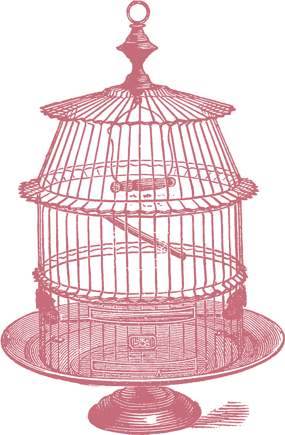 Jpeg - Cage (1067x1521), Png Download