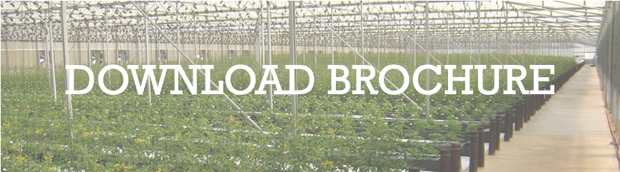 13 Greenhouse - Revell (995x443), Png Download