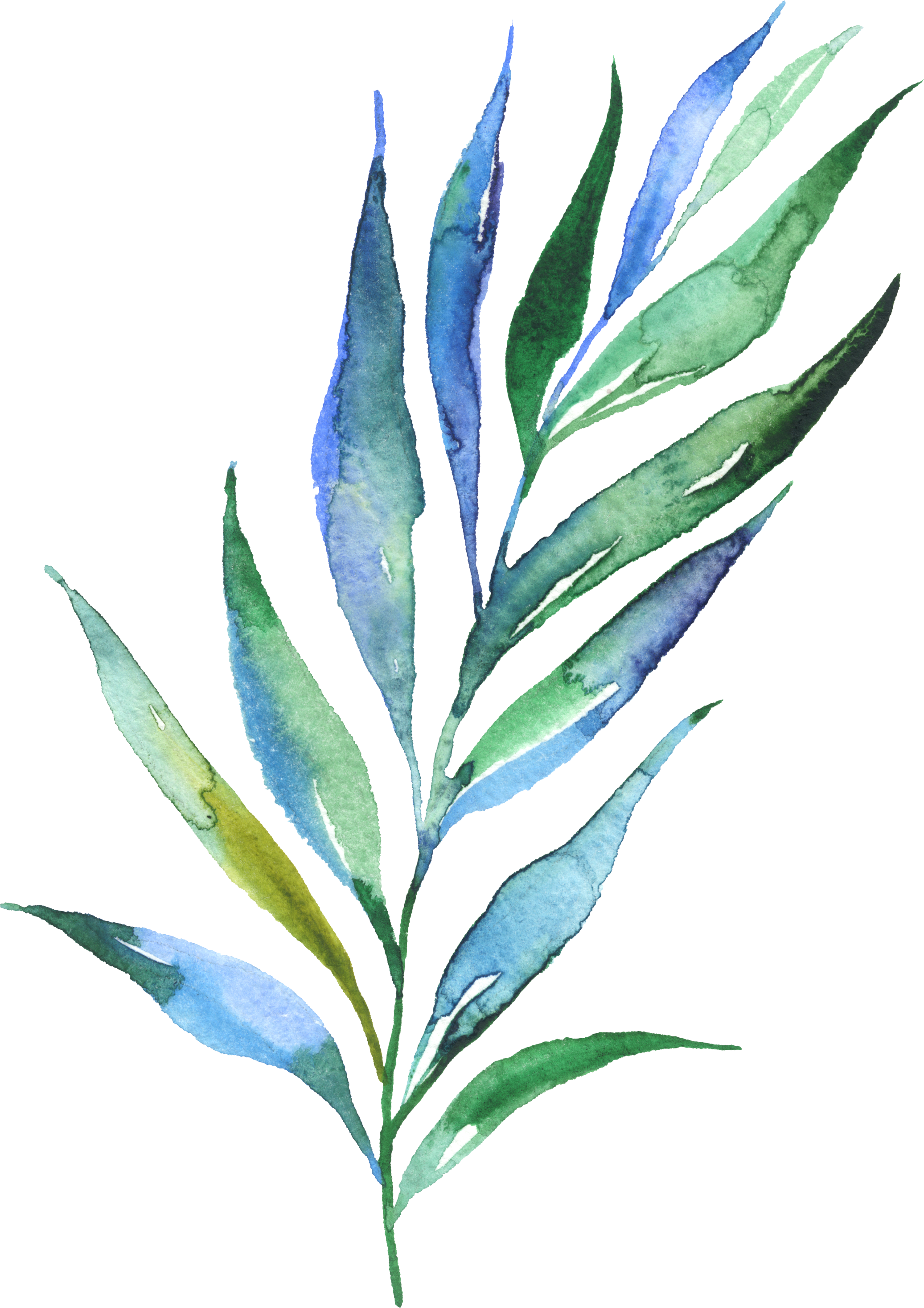Watercolour Watercolor Plants, Watercolour, Leaves, - Green Plant Watercolor Tattoo (2073x2933), Png Download