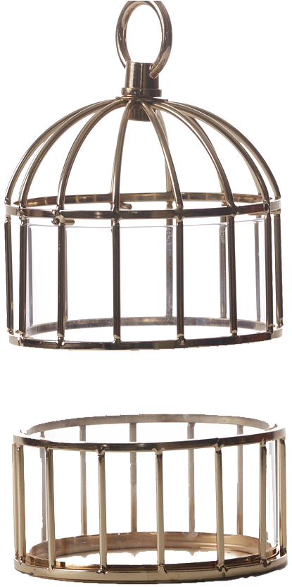 Cage (870x1110), Png Download