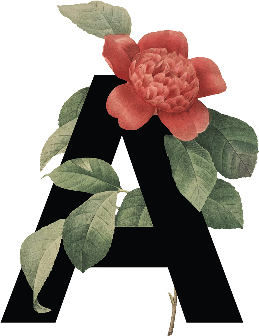 Save To Collection - Floral Alphabet Png (1200x1600), Png Download