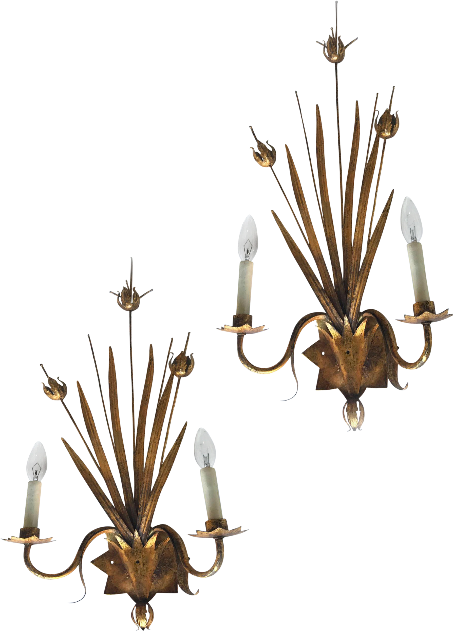 Ferrocolor Sconces A Pair Flicker Lighting On - Chandelier (1986x2768), Png Download