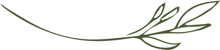 The Fresh Bloom Twig-moss (1000x400), Png Download