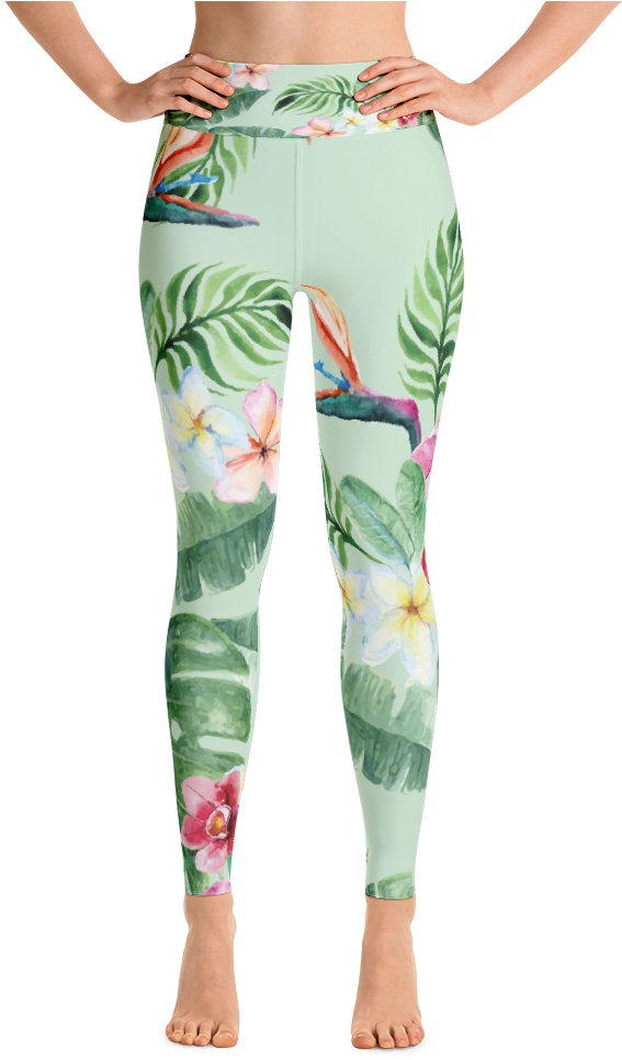 High-waisted Yoga / Surf Pants (1000x1000), Png Download