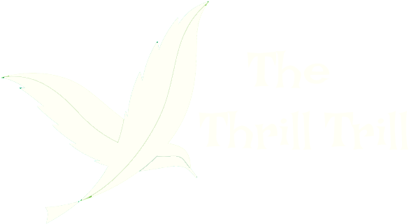 The Thrill Trill - Sketch (880x660), Png Download