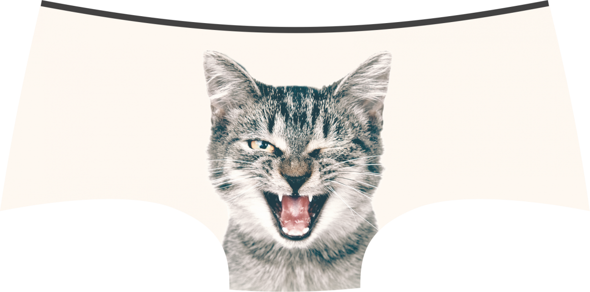 Lickstarter Pussycat Panties / Panty Store - Cat Yawns (1200x595), Png Download