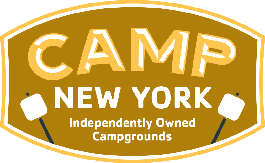 Camp New York Primary Logo - Graphic Design (845x520), Png Download