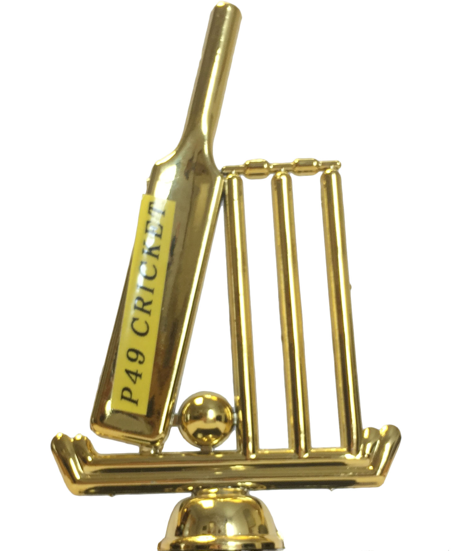 P49 Cricket - Cricket (1479x2205), Png Download