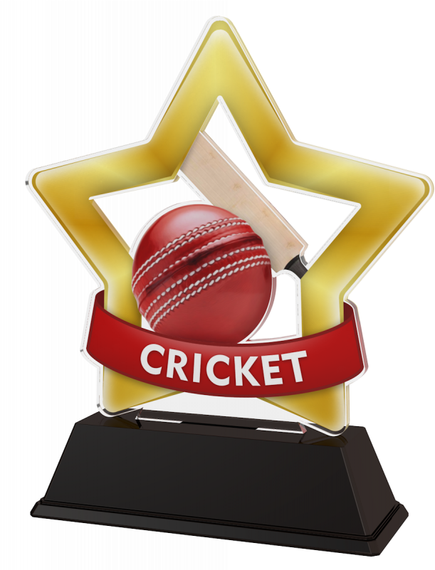 Mini Star Cricket Trophy - Well Done Trophy Gold (800x800), Png Download
