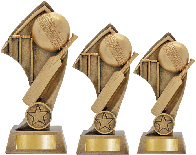 Ad Cricket Theme Rsg5 - Trophy (713x560), Png Download