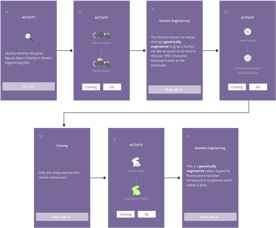 Activity Example - Brochure (1000x845), Png Download