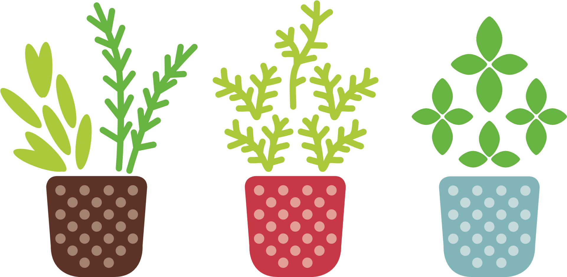 Kitchen Herbs, Potted Plants, Illustration - Crazy Plant Lady Svg (1920x960), Png Download