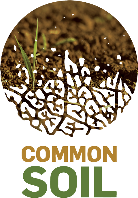 Common Sense For Living Soil - Poster (500x714), Png Download