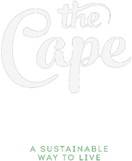 Contact The Cape - Calligraphy (683x584), Png Download