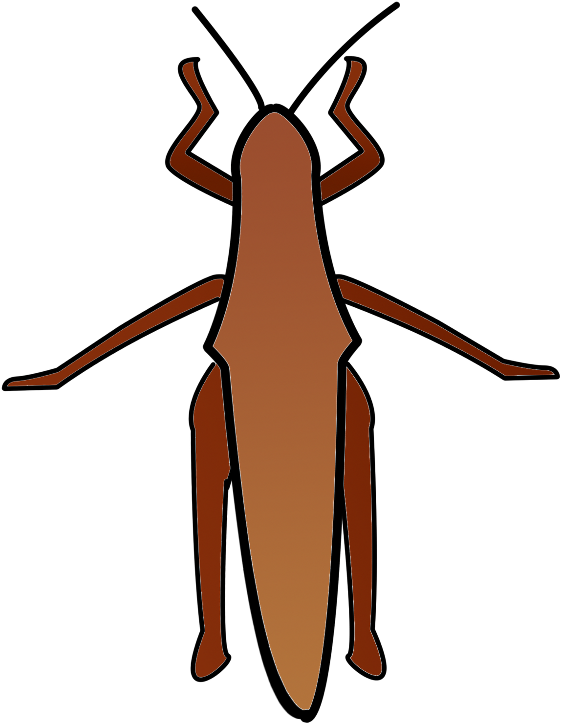 Download Thanksgiving Cockroach Coloring Pages 19 Collection - Earwigs (1345x1600), Png Download