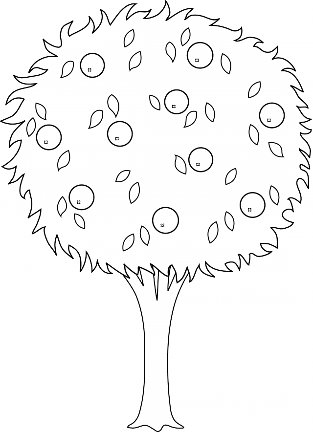 Orange Tree Line Art Free Clip Art 166224 Oranges Coloring - Colouring Of Orange Tree (640x884), Png Download