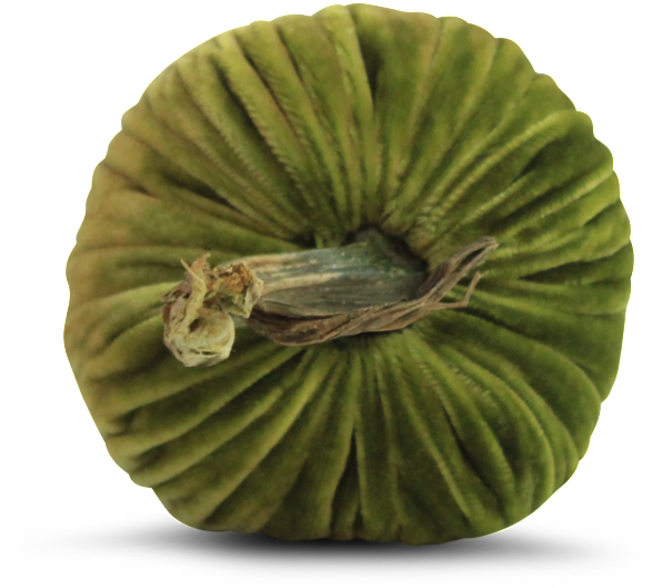 Chartreuse Pumpkins - Kiwifruit (1024x1024), Png Download