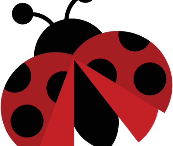 Ladybug Svg (640x480), Png Download