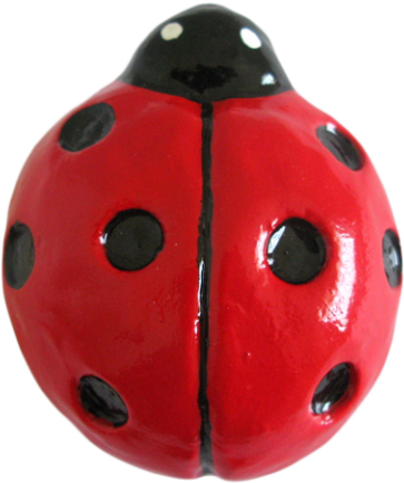 Enlarge Image - Ladybug (960x720), Png Download