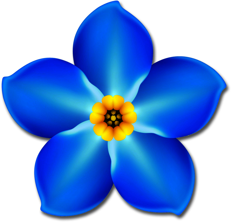 774 X 784 3 - One Forget Me Not Flower (774x784), Png Download