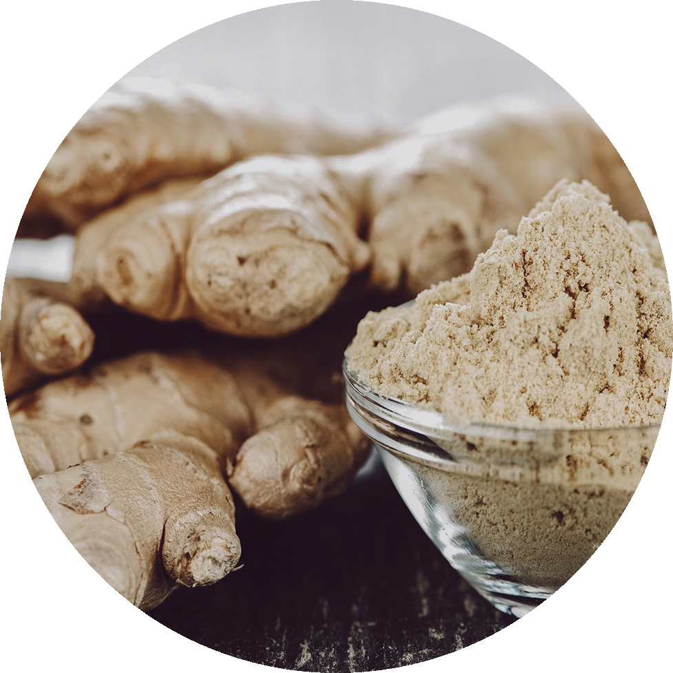 Ginger - Ginger Root (977x977), Png Download