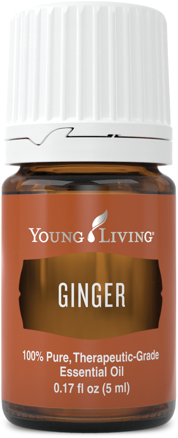 Ginger - Ginger Young Living Png (690x1850), Png Download