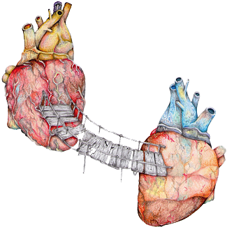 Feel The Sun On Your Face Your Heart, Heart Real, Artsy, - Anatomy Art Two Hearts (494x640), Png Download