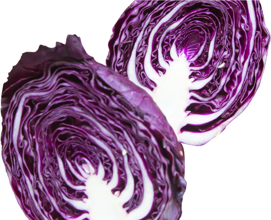 Napa Cabbage Purple Png Image - Purple Cabbage Cabbage Png (1024x768), Png Download