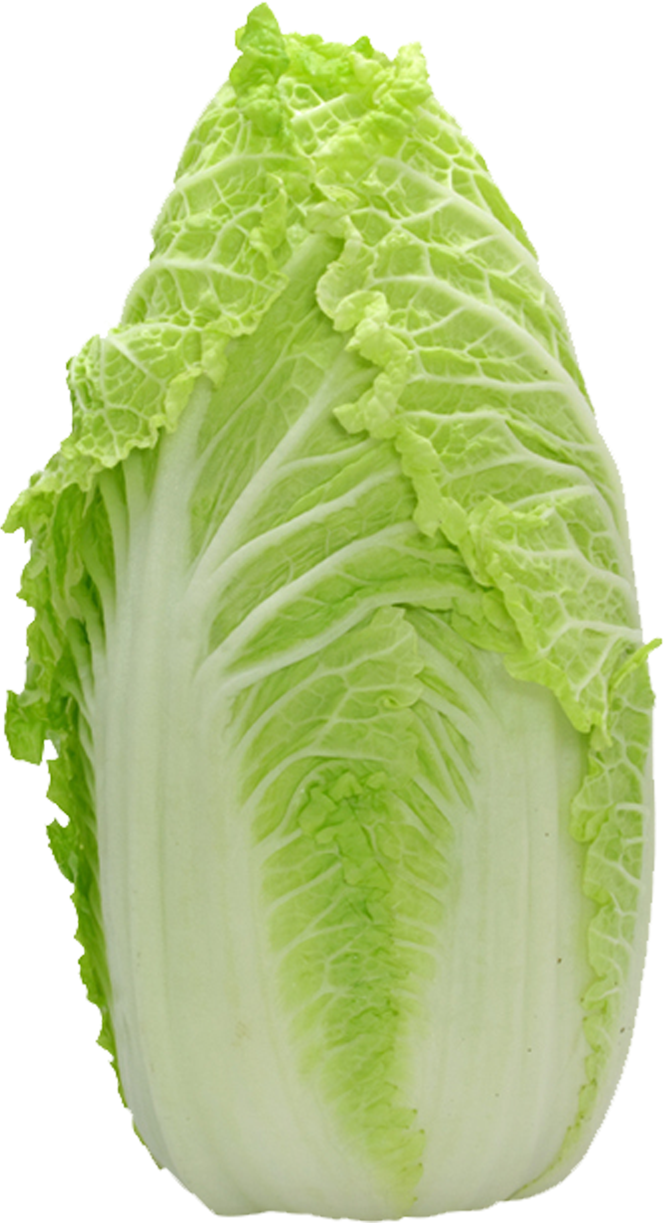 2480 X 2480 10 - Napa Cabbage (2480x2480), Png Download