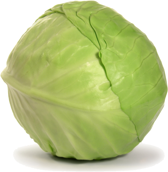 Cabbage Png Download Image - Green Cabbage (800x600), Png Download