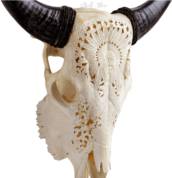 Carved Cow Skull // Xl Horns - Horn (600x600), Png Download