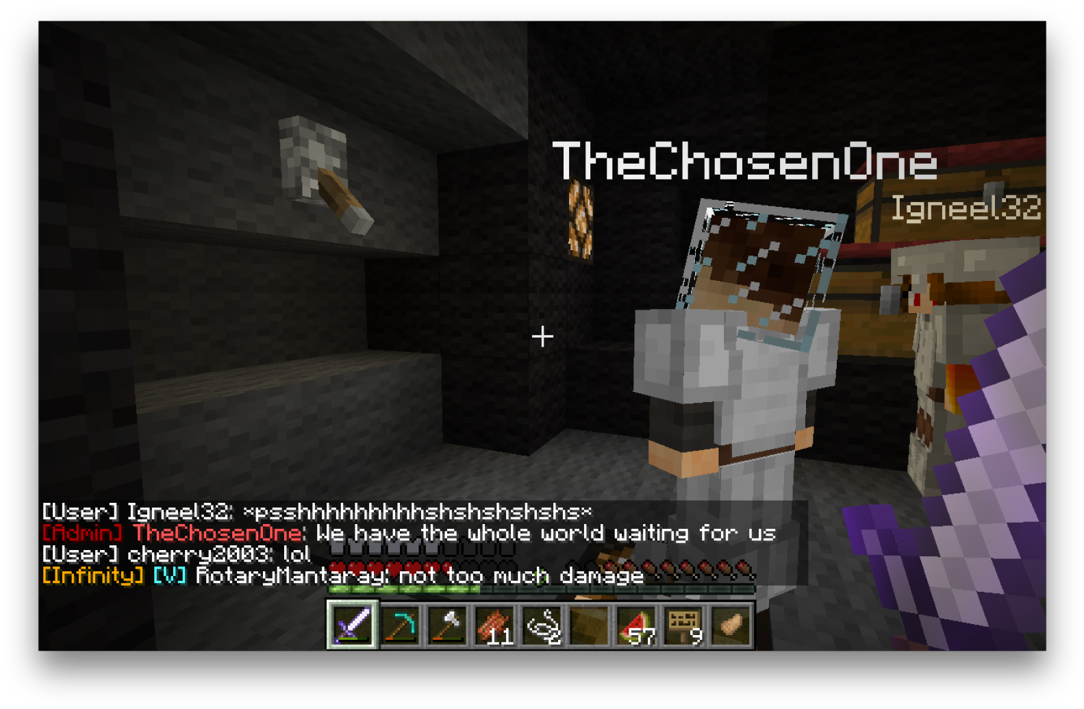 Was Having Great Fun Role-playing At Igneel's Space - Minecraft (1600x1048), Png Download