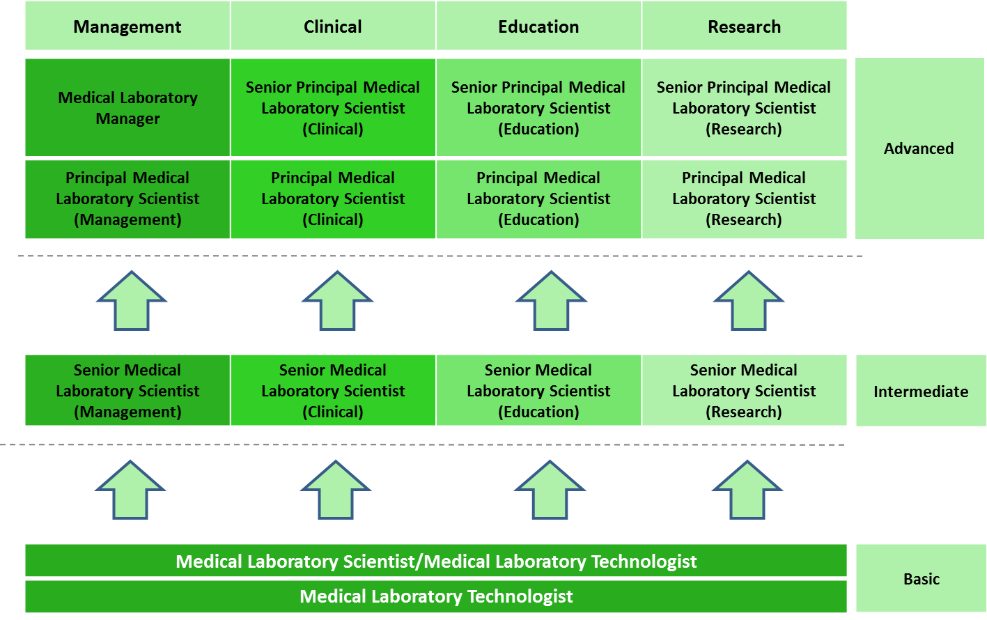Mlt Career Path - Pattern (1417x890), Png Download