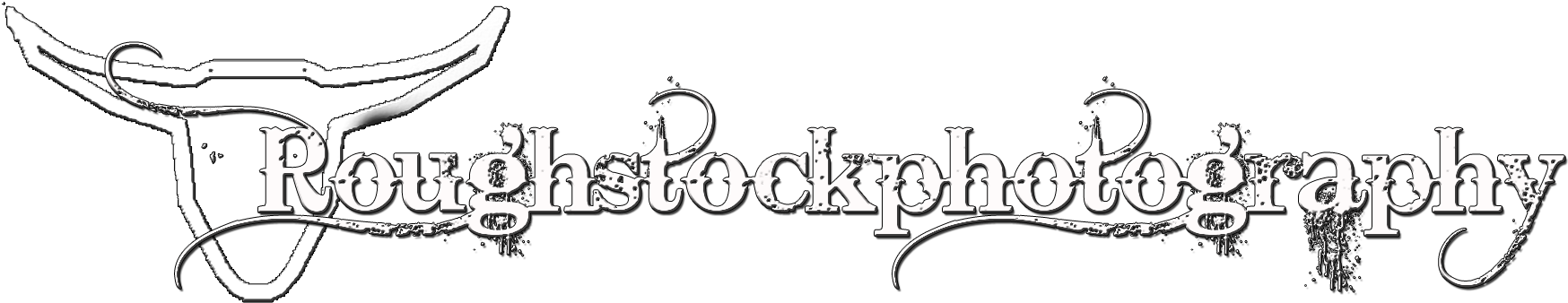Pro Rodeo Photographer - Calligraphy (1800x402), Png Download