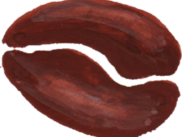 Vegetable (640x480), Png Download